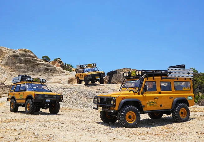 RC Cars & Trucks